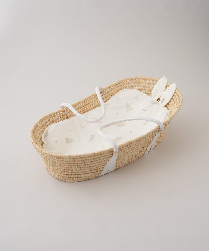 Moses Basket + Baby Lounger Pillow