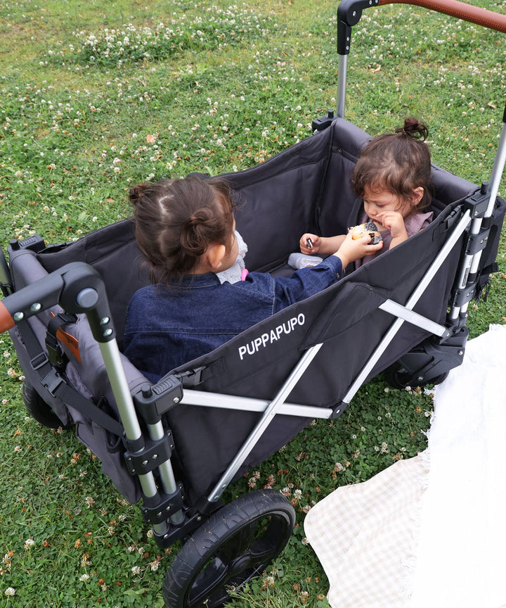 Stroller Wagon