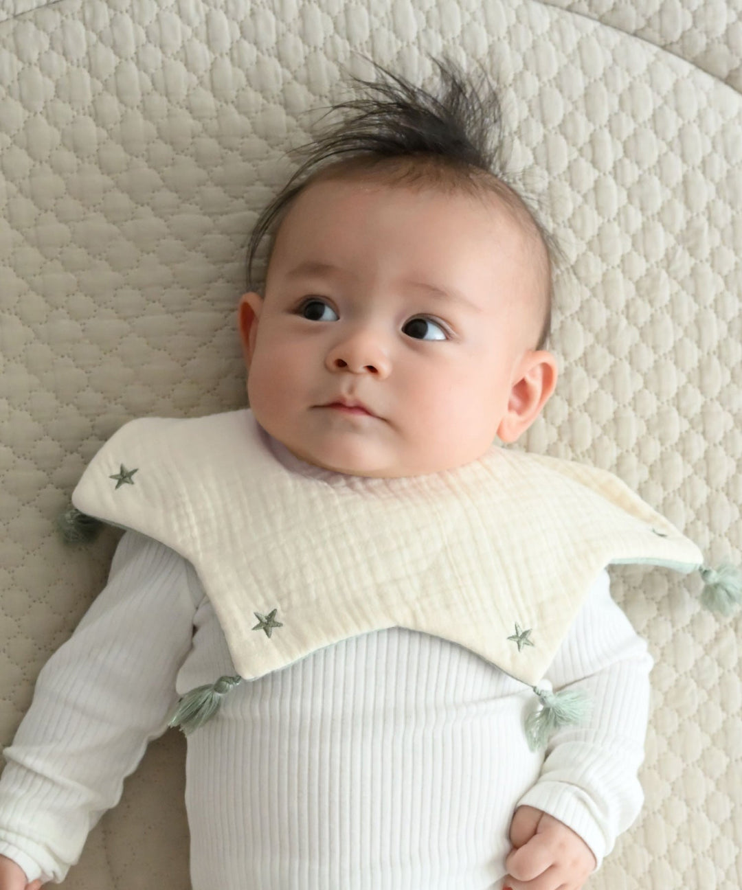Drool Bib 360°