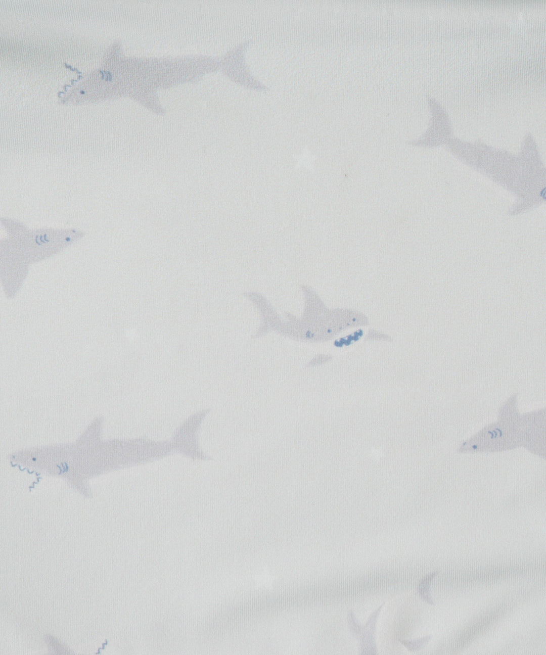 Rash Guard and Surf Shorts Swimsuit Set