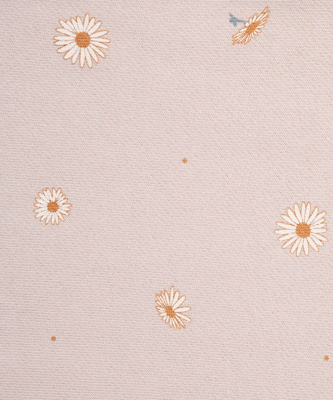 Sweatsuit Set (Top and Bottom)