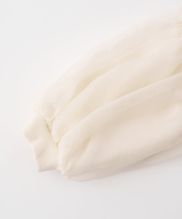 Sheer Puff Sleeve Sweatshirt