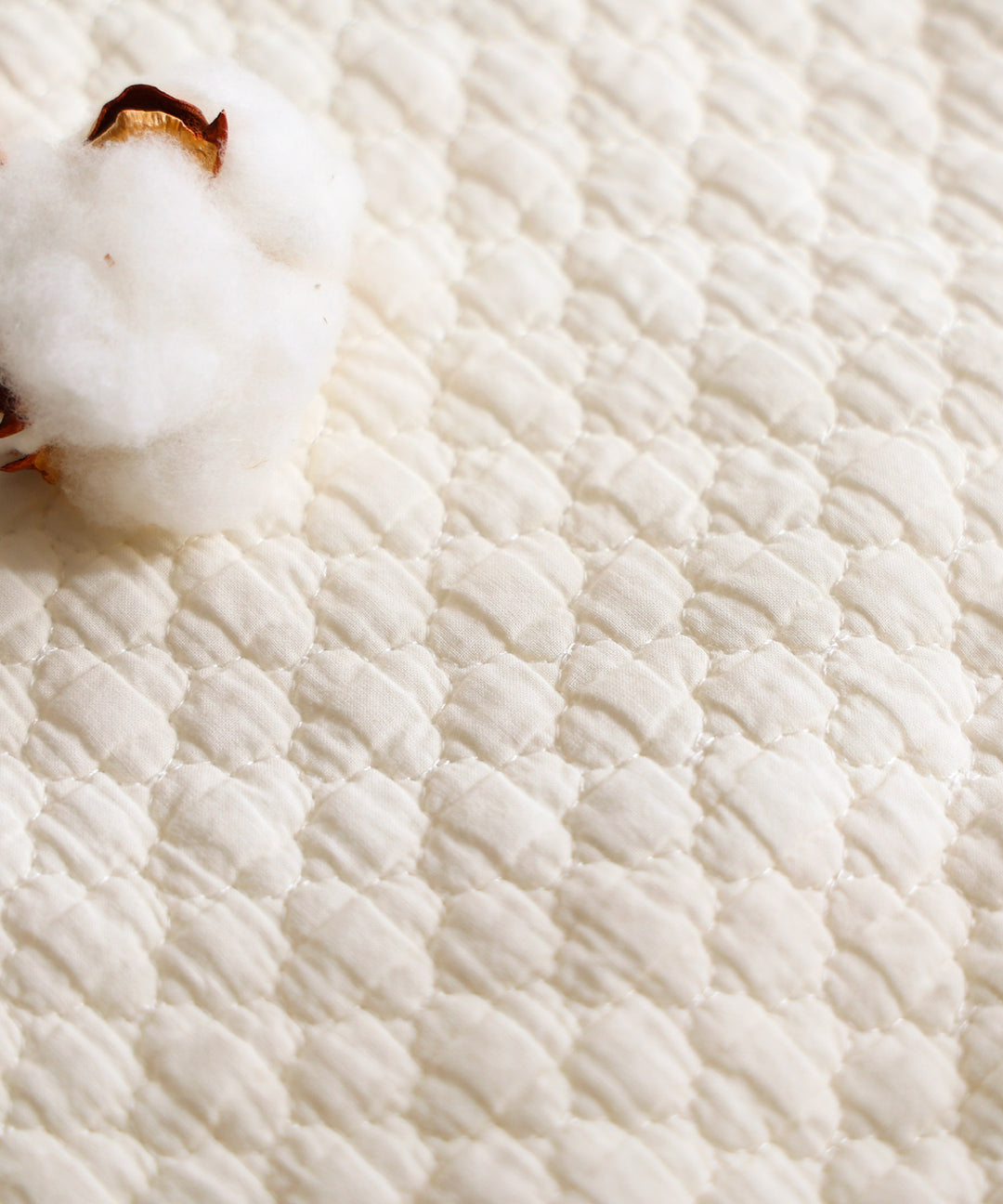 Baby Medical &amp; Document Organizer with Card Pouch