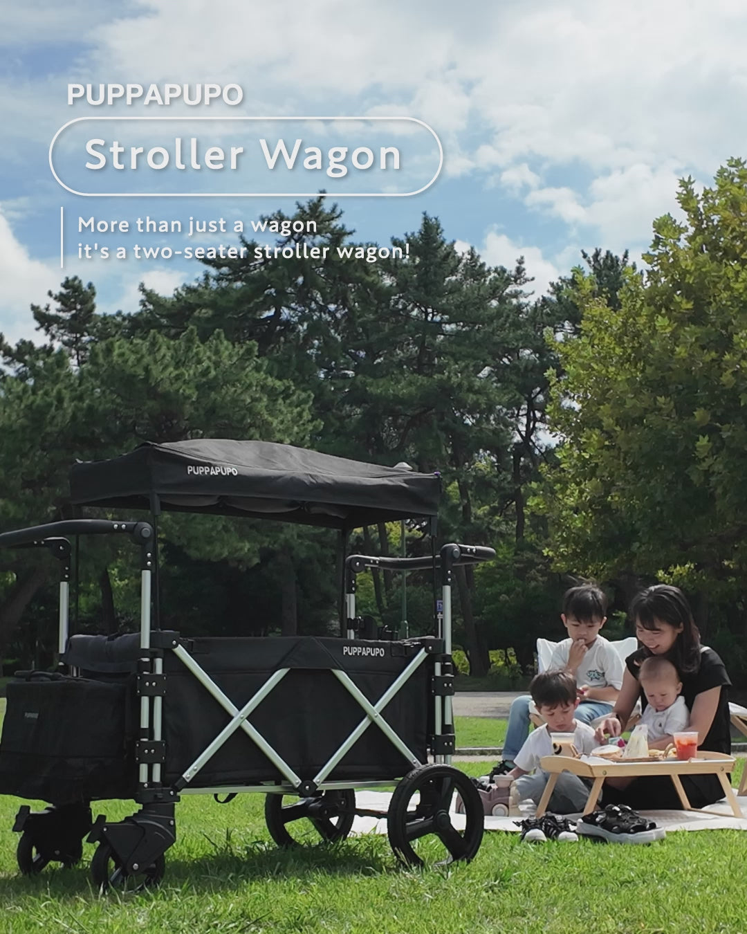 Stroller Wagon